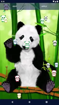 Panda Kawaii Live Wallpaper android App screenshot 2